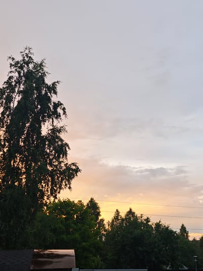 The image depicts a sunset over the Лужники Снт area in Russia. Silhouetted against the soft hues of the setting sun are the dark green canopies of lush trees. The sky transitions from a pale, cloudy grey at the top to warm oranges and yellows closer to the horizon, where the sun is setting. A tall tree with distinctive thin branches and dark leaves dominates the left side of the frame. Power lines stretch horizontally across the middle ground, visible against the colorful sky. In the foreground, a portion of a dark, shingled roof and a shiny, metallic object, possibly a chimney or ventilation pipe, are visible, suggesting a residential or dacha-like setting. The overall atmosphere is serene and natural, characteristic of a rural or suburban landscape at dusk.