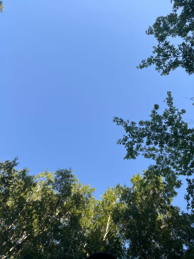 This is a low-angle shot looking up at a clear blue sky with tree branches and leaves silhouetted against it. The trees appear to be deciduous, with dense green foliage. Sunlight filters through the leaves, creating dappled patterns. The scene suggests a bright, sunny day, likely during the warmer months. The composition, with the sky dominating the frame, evokes a sense of openness and looking upwards, perhaps a moment of relaxation or contemplation outdoors. No people or man-made objects are clearly visible, emphasizing the natural elements. The setting appears to be a park or a natural area with tall trees. The image provides no text.