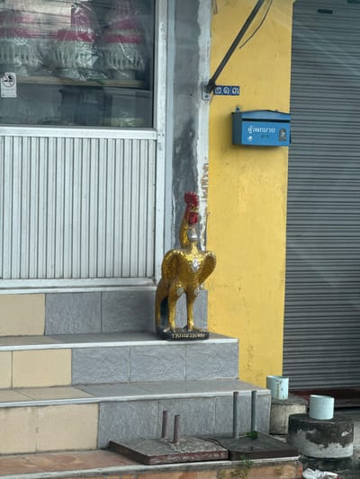 A golden mosaic rooster statue stands on the steps of a building in Ban Put Hong, Thailand. The statue is positioned in front of a yellow wall with a blue mailbox attached. To the left of the rooster, a corrugated metal door is visible. The steps themselves are tiled with alternating light and dark grey square tiles, with a lighter tan tile on the bottom-most visible step. In the foreground, two round concrete objects with small blue cylindrical objects on top are present, and further to the left, a metal grate is set into the ground. A "no smoking" sign is visible on the window to the left of the entrance.