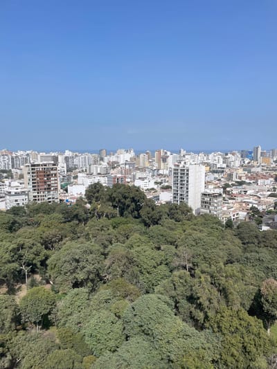 The image is a high-angle, wide shot of a city skyline with a large park in the foreground. The sky is clear and blue. In the foreground, a dense canopy of green trees fills the lower half of the image. Beyond the trees, a sprawling city extends to the horizon, characterized by numerous multi-story buildings of varying architectural styles and heights. Many of these buildings are white or light-colored, with some featuring balconies and visible windows. A body of water, likely the Pacific Ocean, is visible in the distance behind the city. The environment suggests a sunny day in an urban setting with significant green space integrated within the city. The city appears to be coastal. Based on the visual cues, this scene is consistent with an aerial view of a portion of Lince, Peru, a district known for its mix of residential buildings and parks, with proximity to the coast. There are no people or animals clearly visible in the image.