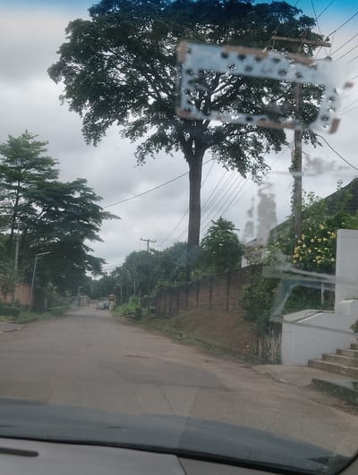 The image depicts a street scene in Iju, Nigeria, under an overcast sky. A paved road stretches into the distance, flanked by a low, red-brick wall on the right and lush green trees and buildings on the left. Overhead, power lines crisscross the sky, supported by utility poles. A large tree with a thick trunk and expansive canopy dominates the left side of the frame. In the middle distance, a few vehicles, including what appears to be a tuk-tuk and a truck, are visible on the road. The foreground shows the dashboard of a vehicle, suggesting the image was taken from inside a car. The overall atmosphere is subdued, likely due to the cloudy weather.