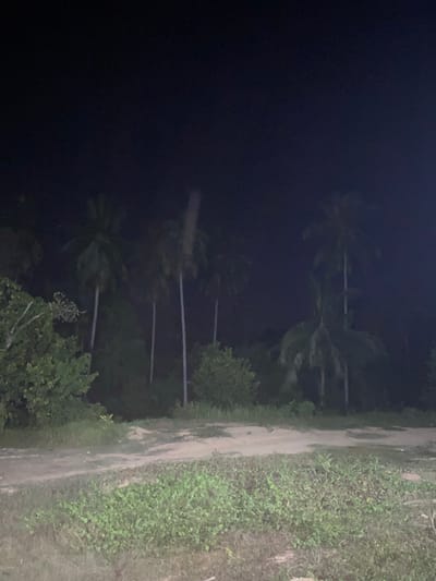 The image depicts a dark, nighttime scene in a tropical or semi-tropical outdoor setting, likely in Gampongaceh, Indonesia. The overall lighting is very low, creating silhouettes and deep shadows.

The primary subjects are dense vegetation and palm trees. On the left side of the main image, a vast dark expanse, likely the night sky, occupies the upper half. Below this, numerous palm trees and other dense foliage are visible as dark silhouettes against a slightly less dark background. Some lighter vertical and horizontal streaks are visible within the foliage, which appear to be palm tree trunks or branches faintly reflecting light.

A distinct dirt path or unpaved road runs vertically along the right side of the image, separating the dense vegetation from an area of ground covered in smaller green plants and grasses. The path itself appears uneven and unlit. No people, animals, or artificial structures are visible.

The scene conveys a sense of quiet and darkness typical of a rural or overgrown area at night. There is no discernible activity or event taking place; the image captures a static landscape. No text is visible in the image. The location context of Gampongaceh, Indonesia, is consistent with the presence of tropical flora such as palm trees.