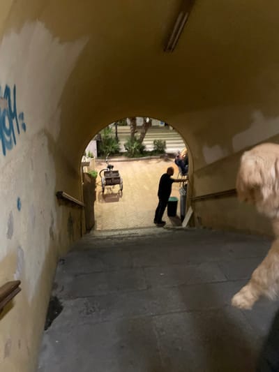 The image shows a view from the bottom of a set of stairs in a tunnel, looking up towards an arched opening that leads to an outdoor courtyard. The courtyard is lit by a single streetlamp and is filled with trees and bushes. A bicycle is leaning against a wall on the left side of the courtyard. In the foreground, a dog is walking towards the camera, its rear end visible in the bottom right corner of the frame. Two people are visible in the distance, one of whom is standing near a trash can, while the other is seated on a bench. The walls of the tunnel are concrete and appear to be covered in graffiti. The tunnel is located in Portoferraio, Italy, at coordinates 42.814, 10.329.
