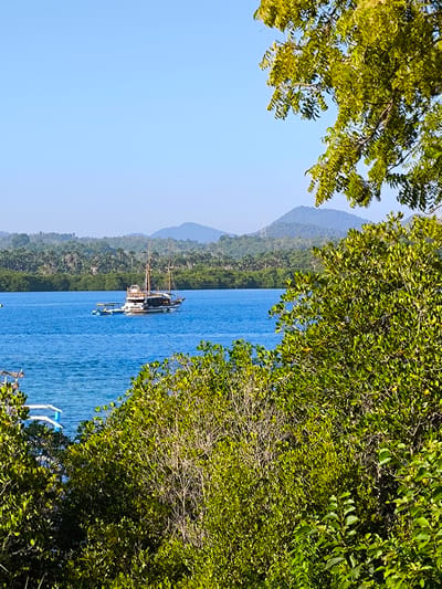 This image depicts a coastal landscape in Gerokgak, Indonesia, viewed from an elevated position partially obscured by foliage. The upper third of the frame shows a clear, light blue sky. Below, a calm, deep blue body of water occupies the middle ground. In the mid-ground, a large, traditional two-masted wooden boat, likely a Phinisi-style vessel, is visible on the water, with a smaller white dinghy attached to its side.
The distant shore across the water is covered by dense tropical vegetation, featuring numerous palm trees and other green foliage, with hazy blue-green mountains rising in the far background. The foreground and right side of the image are dominated by vibrant green leaves and branches from a tree and dense bushes, framing the view. A significant branch with bright green leaves extends from the top right corner. A small, white structure, possibly part of another boat, is partially visible through the foliage in the lower-left quadrant. The scene is brightly lit under natural sunlight, indicating a clear day.