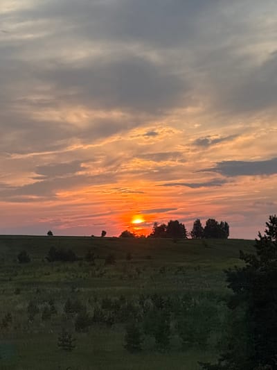The image depicts a sunset over a rural landscape, likely in the vicinity of Nosakino, Russia. The sky is filled with hues of orange, pink, and gray as the sun sets towards the horizon. Wispy clouds are scattered across the sky, catching the warm light of the setting sun. In the middle ground, a rolling green hill is dotted with scattered trees and shrubs. The foreground consists of a grassy field with more trees and bushes, some of which are darker and appear to be evergreens. The overall scene is one of natural beauty and tranquility, characteristic of the Russian countryside at dusk. There are no people or specific structures visible in the image.