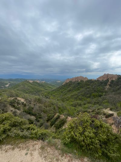 The image captures a vertical view of a landscape, likely taken from an elevated position. The top portion of the frame is dominated by a cloudy sky, showcasing an overcast condition. A prominent mountain range, densely covered in greenery, extends into the middle and lower sections. The vegetation appears to be a mix of trees and shrubbery. The land descends into a valley, possibly revealing a distant view of a body of water. The lower right foreground features a dirt path or edge of a cliff, providing a sense of depth and perspective. Given the location context of Rozhen, Bulgaria, it is plausible that the image depicts a scenic panorama of the Rozhen Monastery area, known for its mountainous terrain and natural landscapes.