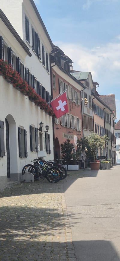 The image depicts a street scene in Sargans, Switzerland, with a focus on a building adorned with a Swiss flag. The building has a white facade with numerous dark-shuttered windows and a prominent row of red flowers cascading along a ledge. The Swiss flag, a red rectangle with a white cross, is prominently displayed, suggesting a patriotic or cultural context.
To the right of the building, a paved sidewalk is visible, with several bicycles parked in a rack. Shadows from trees and the building are cast across the pavement, indicating it is daytime. The sky above is blue with some white clouds. The architecture of the building, with its shutters and facade, suggests a European setting, consistent with the provided location context. There are no people visible in the frame. A sign with German text is partially visible on the building. The overall impression is a peaceful, sunny day in a European town.