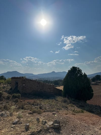 The image captures a rural landscape under a bright, sunny sky with scattered clouds. The sun is prominent in the upper left quadrant of the frame, casting lens flare and light rays. In the foreground, a weathered, stone-built structure with a partially collapsed roof stands on a dry, scrub-covered hillside. To the right of the structure, a large, dark green evergreen tree is positioned. Beyond the immediate foreground, the terrain slopes down towards a valley where fields and trees are visible. In the distance, a range of mountains forms the horizon, with wind turbines visible on the crest of one of the larger peaks. The overall environment suggests a dry, arid climate. The scene is located in the municipality of Alpuente, Spain, known for its natural beauty and historical sites.