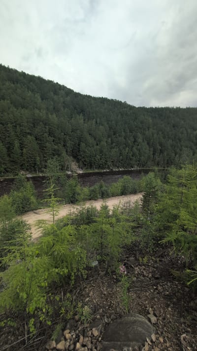 The image depicts a wide, dark river flowing alongside a dense, evergreen forest that covers a steep hillside. The sky is overcast with gray clouds. In the foreground, there is a dirt road running parallel to the river, bordered by smaller trees and rocky terrain. A single pink flower blooms in the lower right corner of the image. There are no people visible in the scene. The location is identified as Belen'kiy, Russia.
