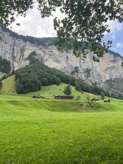 The image captures a panoramic view of the Lauterbrunnen Valley in Switzerland, characterized by its dramatic cliff faces, lush green meadows, and traditional Swiss chalets. In the foreground, a vibrant green meadow stretches out, dotted with wild flowers. The middle ground features a gentle slope leading up to a cluster of rustic wooden chalets, some with red roofs, nestled amidst the verdant landscape. Beyond the chalets, a dense forest covers the lower slopes of the imposing cliff face that dominates the background. The cliff itself is massive and striated, with evidence of waterfalls cascading down its sheer rock walls. The sky above is partly cloudy, with patches of blue sky visible. The overall impression is one of serene natural beauty and picturesque rural life.