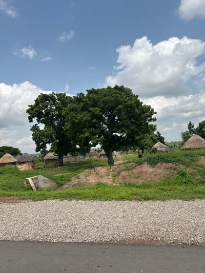 This media file depicts a rural village scene in Serakye, Nigeria. The primary subject is a large, leafy green tree dominating the left side of the frame, casting a broad shadow. Scattered around the base of the tree and further into the background are several traditional thatched-roof huts, characteristic of rural African villages. The huts are clustered, suggesting a community dwelling.

The scene is set outdoors, likely during daylight hours, with a bright sky filled with white, fluffy clouds against a clear blue backdrop. The weather appears pleasant, possibly a warm day with scattered cloud cover. The ground is a mixture of dry earth and green grass, with a rough gravel path or shoulder adjacent to a paved road on the right side of the image. Some concrete structures, possibly part of a drainage system or building foundations, are visible near the huts and along the edge of the road.

There are no visible people or specific activities taking place. The focus is on the natural elements – the tree and sky – and the man-made structures of the village. The overall impression is one of a peaceful, traditional rural setting. The perspective is slightly tilted, giving a dynamic feel to the otherwise static scene. The lighting suggests it could be mid-morning or late afternoon, with the sun casting shadows but not yet at its zenith or setting. No text is visible in the image.