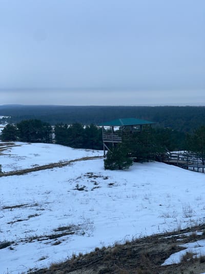 The image depicts a winter landscape in Morskoe, Russia, under an overcast, pale grey sky. A vast, dark green coniferous forest dominates the distant midground, stretching towards the horizon. Centrally located on a snow-covered slope in the midground is a multi-level wooden observation structure, characterized by a dark green pitched roof and an open upper platform with railings. A wooden boardwalk extends from the base of this structure, descending towards the right. The foreground presents undulating terrain, partially covered with snow, interspersed with exposed patches of dry, light-brown vegetation and darker earth. Faint linear depressions in the snow are visible in the lower-left section. No individuals or animals are present within the scene.