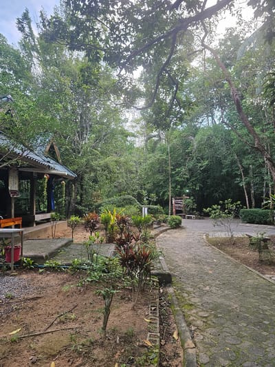 The image depicts an outdoor scene at what appears to be a park or a recreational area in Tambon Khlong Thom Nuea, Thailand. The foreground shows a dirt path with scattered leaves and small plants. To the left, there is a covered structure with a green, corrugated roof, supported by wooden posts. This structure houses some tables and chairs, and a red bucket is visible near the entrance. A paved walkway made of interlocking grey pavers, some of which are covered in moss, curves through the scene. Lush green trees and dense foliage dominate the background, creating a natural, jungle-like environment. Several potted plants with colorful leaves are placed along the path. In the mid-ground, there is a wooden sign with Thai script and a few benches. The sky is visible through the canopy of trees, with some bright patches indicating daylight. There are no people visible in the image.