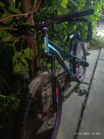 The image shows a teal and purple bicycle leaning against a tree and some foliage. The bicycle has black handlebars, a black seat, and black tires with purple rims. The front tire is partially obscured by the bicycle's frame. There is some visible wear and tear on the front tire, suggesting it has been used. The bicycle appears to be outdoors, in a natural setting with green leaves and branches. The ground is a concrete pathway with some cracks and debris. The lighting suggests it is nighttime or late evening, as there are shadows and the scene is illuminated by artificial light.

In the bottom right corner of the image, there is a timestamp that reads "27.06.2026 21:04". This indicates the date and time the photograph was taken. The location context provided is Qaskeleñ, Kazakhstan. There is no activity or event taking place in the image; it is a still shot of the bicycle. No people are visible. The overall mood is neutral, with the focus being on the bicycle and its surroundings. Notable details include the contrasting colors of the bicycle, the natural environment, and the concrete pathway.