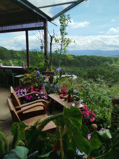 The image depicts an outdoor seating area at a cafe in Trường An, Vietnam, with a panoramic view of a lush, green landscape. Two wooden armchairs are positioned on a concrete patio, facing a wooden table laden with potted plants and decorative items. A variety of flowering plants, in shades of pink, purple, and blue, are arranged around the seating area, adding vibrant splashes of color. In the background, a dense forest stretches towards a series of rolling hills under a partly cloudy sky. The cafe's covered seating area, constructed with metal beams and a woven roof, provides shade. A narrow dirt path is visible winding through the trees in the distance.