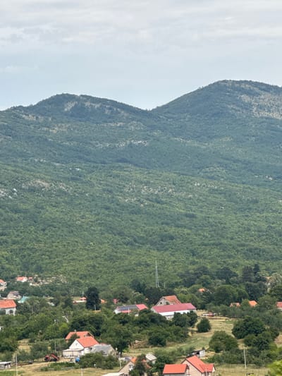 The image depicts a rural scene in Šipačno, Montenegro, dominated by a verdant, densely forested mountainside that fills the upper two-thirds of the frame. The mountain slopes are covered in a mix of trees and scrub, with some lighter patches indicating exposed rock or sparser vegetation. A faint, pale sky with scattered clouds sits above the mountain range.

In the foreground, a small village is nestled amidst the trees. The village comprises several houses with red-tiled roofs, typical of the region. Some of the houses appear to be modern, with solar panels visible on their roofs. The structures are interspersed with mature trees, creating a somewhat dispersed settlement. Agricultural elements are also present, including a red tractor parked in a yard and what appear to be small farm buildings. Fences delineate some of the properties. A single electrical pylon is visible on the edge of the village, breaking the natural landscape. The overall environment is rural and characterized by lush vegetation and traditional architecture. No people are visible in the image.