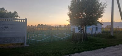 This image depicts a serene rural scene at sunrise in Mihaylovka, Kyrgyzstan. In the foreground, a textured grey concrete fence with circular cutouts on top runs along the left side, bordering a lush green lawn. To its right, a light green wooden picket fence with diamond-shaped accents creates an entryway to a field. A large, mature tree with a gnarled trunk stands prominently near the center, its branches casting shadows and partially obscuring a small, white building with a blue-trimmed window. The building has two signs; one blue sign with white text that reads "ТОРГОВЫЙ" (Trading) and a red and white sign below it with Cyrillic text.
Beyond the immediate structures, a field stretches into the distance, separated by a wire fence and wooden posts. The landscape is dotted with trees, particularly in the middle ground, which are silhouetted against the hazy morning sky. In the background, a range of mountains rises, their peaks softened by the atmospheric conditions.
The time of day is clearly sunrise, evidenced by the warm, soft glow illuminating the sky and the muted light. The air appears still, with a slight mist settling over the fields, suggesting a cool, clear morning. The overall mood is peaceful and tranquil, capturing the quiet beauty of a rural dawn. The combination of the natural landscape, the rustic buildings, and the soft lighting creates a picturesque and inviting atmosphere.