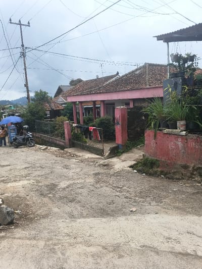 The image captures a residential street scene in Bien Hoa, Vietnam, under an overcast sky. The foreground consists of an unpaved, uneven road surface composed of dirt and gravel, with a small piece of white debris visible on the right side.
On the left, a group of at least three individuals is gathered under a large blue umbrella, positioned next to a vendor's cart or small stall. A black scooter is parked adjacent to this group. A tall wooden utility pole, heavily strung with numerous intersecting electrical and communication wires, rises on the far left.
In the midground, a single-story house with pink-painted walls and a distinct brown tiled roof is prominent. The house features a front porch with pillars and a light-colored entrance door. A black wrought-iron gate, partially open, secures the property, with various items of clothing, including red and dark garments, hanging over its rails. To the right of the gate, a red-painted concrete wall or planter box is topped with several potted plants, and more hanging plants are suspended above a dark structure. Faint white markings are visible on the red concrete wall.
The background reveals additional houses with tiled roofs interspersed among trees and greenery, leading to distant hills or mountains partially obscured by the cloudy sky.