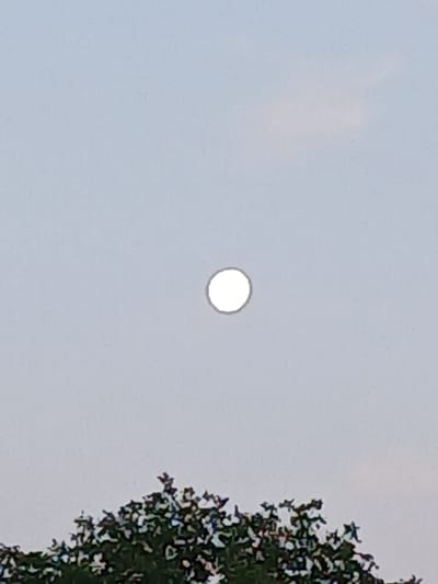 A bright, round object, likely the sun, is visible in a pale, hazy sky, slightly off-center to the left. The lower portion of the image is filled with the dark, silhouetted branches and foliage of a tree. The scene is devoid of any human presence or activity. The environment appears to be outdoors, with the hazy sky suggesting it may be daytime, possibly at dusk or dawn, or under atmospheric conditions that diffuse sunlight. The location is identified as Korman, Ukraine.