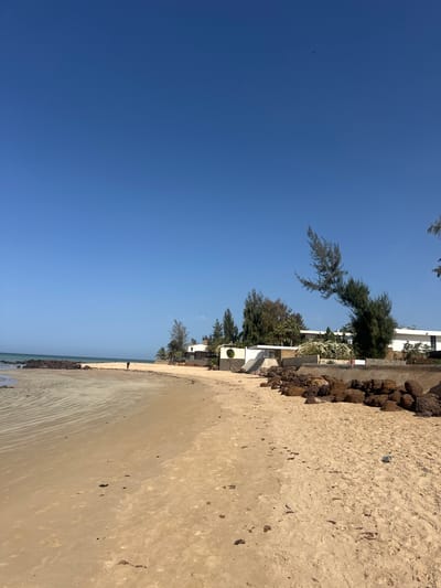 The image shows a beach scene in Ngaparou, Senegal. The right side of the frame is occupied by a sandy beach. A small body of water is visible at the bottom of the frame. The beach transitions to a barrier of rocks or stones, and then to land featuring trees and buildings. The upper half of the frame shows a clear blue sky with a single bird visible.