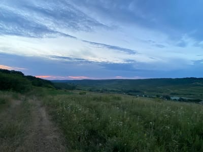 An outdoor, horizontal, wide-angle, natural landscape photograph captures a grassy hillside at dusk. The foreground features a narrow dirt path winding through tall, dry grass interspersed with small white wildflowers. The midground is a rolling green hill covered in lush grass and scattered trees, with some buildings and a body of water visible in the distance. The background consists of a dark, undulating treeline against a twilight sky painted with hues of blue, gray, and soft orange. The image appears to be taken from a vantage point on a hill looking down into a valley. The location is identified as the city of Horodca, Moldova.