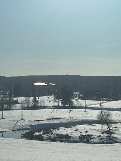 The image shows a landscape in Чутырь, Russia. There's a snow-covered field with scattered trees and utility poles. In the background, a dark treeline separates the field from the sky. A building reflecting sunlight stands out against the treeline. The sky is light blue. A dark-colored path winds through the snow.