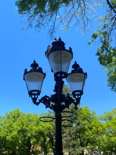The image shows a low-angle view of a vintage, three-lamp ornate street lamp in Subotica, Serbia. The lamp is black, featuring decorative elements, and has frosted glass shades. The clear blue sky fills most of the background, framed by green tree foliage at the top and sides. Bare tree branches are visible on the left. The lamp appears to be located in a park or public space.