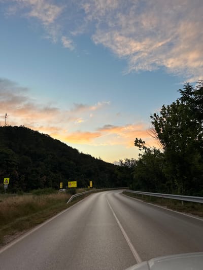 A paved road curves to the left through a wooded landscape in Prisovo, Bulgaria at sunset. The sky is a gradient of pale blue near the horizon to a deeper blue overhead, with scattered clouds tinged with pink and orange from the setting sun. Dense, dark green trees cover a hillside to the left of the road, with a single tall communication tower visible near the crest. To the right, more trees line the road, some with dark green foliage. A metal guardrail runs along the right side of the road, punctuated by red reflectors. Several yellow triangular warning signs with black symbols are visible on the left side of the road, indicating potential hazards. The road surface is smooth and reflects the warm light of the sky. The lower right corner of the image shows the edge of a vehicle, suggesting the photograph was taken from a moving car. No people are visible. The overall impression is one of a scenic drive through a natural setting as daylight fades.