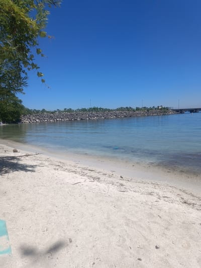 This image depicts a sandy beach area in Oakville, Canada, bordering a clear body of water. On the left, a tree with green leaves extends into the frame, casting shadows on the sand. The beach itself is light-colored sand with some scattered debris.

In the water, a light blue object is visible, possibly a piece of litter. The water is calm and transparent, allowing visibility of the sandy bottom near the shore. Beyond the water, a stone embankment forms a barrier, topped with a fence and vegetation. In the distance, a bridge spans across the water, with streetlights visible along its length. The sky is a clear, bright blue.

There are a few individuals visible in the water on the far left side of the image, appearing to be wading or swimming. The overall scene suggests a sunny day at a recreational waterfront.