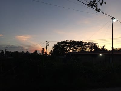 A low-angle, wide shot captures the twilight sky over Palohigeuh, Indonesia. The sky transitions from a pale blue at the top to hues of orange and pink near the horizon. Silhouetted against the colorful sky are a dense line of trees, including palm trees, and several utility poles with wires crisscrossing the frame. A single streetlamp on a pole emits a bright light in the middle right of the image. In the foreground, the scene is dominated by the dark silhouettes of thick vegetation and a portion of a building with a light emanating from one of its windows. The overall impression is one of a rural or suburban setting at dusk.