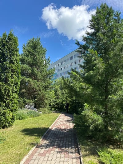 In Duvankul', Russia, a paved walkway with red and beige interlocking pavers runs through a landscaped area with lush green grass and various evergreen trees. To the left of the walkway, a trimmed evergreen bush stands tall, followed by a pine tree, and further back, a stone sculpture of a reclining lion is visible on a raised bed of greenery. A large, multi-story light blue building with numerous windows is situated in the background, behind a dense arrangement of trees, some of which partially obscure its facade. The sky above is a clear blue, dotted with scattered white clouds, and bright sunlight casts shadows on the walkway and grass. A lone figure, dressed in dark clothing, is walking away from the viewer on the walkway, partially obscured by the trees.