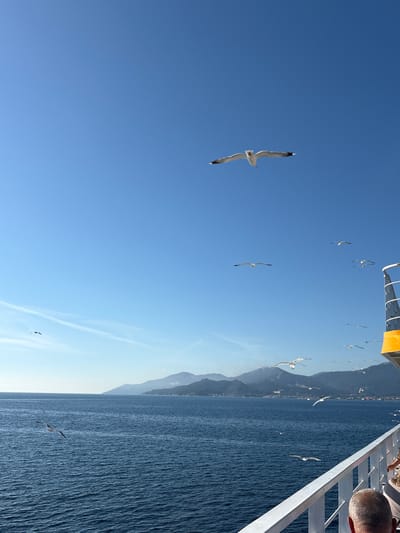 The image captures a view from a ferry on a clear, sunny day. The vast expanse of the Aegean Sea dominates the lower half of the frame, with gentle waves rippling across its deep blue surface. In the distance, a lush green coastline with rolling hills and mountains is visible under a bright blue sky. A flock of seagulls are seen soaring against the sky. One prominent seagull is in flight in the upper center of the image, with its wings outstretched. Several other seagulls are scattered throughout the sky, some closer to the foreground and others further away. The railing of the ferry is visible in the lower right corner, along with the back of a person's head, indicating the perspective of someone on board. The ferry itself has a yellow section visible on its right side. The image does not show any specific landmarks or features that would identify it as being in the city of Thassos, Greece.