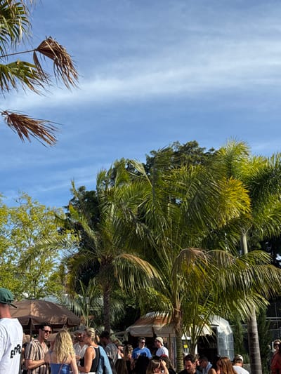 A daytime outdoor scene shows palm trees against a bright blue sky with faint wisps of clouds. At the bottom of the frame, some palm fronds are brown and weathered. A crowd of people is visible on the right side of the image, some of whom are wearing casual attire such as t-shirts and sunglasses. A concession stand or similar structure is also visible behind the people.