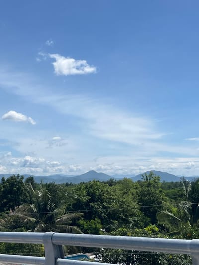 This is a vertical, eye-level, outdoor photograph taken on a sunny day with a clear blue sky and scattered white clouds. In the foreground, a metal railing runs horizontally across the bottom of the frame. Behind the railing, lush green trees and palm trees dominate the middle ground. Further in the distance, rolling hills and mountains are visible, layered in shades of blue and green. The scene appears to be a scenic overlook, likely in a tropical or subtropical region. The location is identified as Hong Son City, Vietnam. There are no people or specific actions depicted in the image.