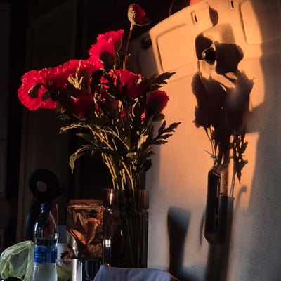 In the city of Novo-Stroyka, Russia, an indoor scene is depicted during sunset, casting a warm, orange glow. In the foreground, a bouquet of vibrant red flowers, likely poppies, is arranged in a tall, dark glass vase. The flowers are in full bloom with visible petals and dark centers. To the left of the flowers, a partially filled bottle of "crystal spring" water stands next to a bag of coffee beans and a crumpled green plastic bag. Behind the flowers, a large, off-white object with a textured surface is visible, casting a prominent shadow of the flowers and their vase onto it. This object appears to be the lid or side of a cooler or similar storage container. The background is dark, with hints of vertical blinds or curtains on the left. A black circular object, possibly a speaker or a fan, is also present in the lower left corner. The overall lighting suggests a late afternoon or early evening setting.