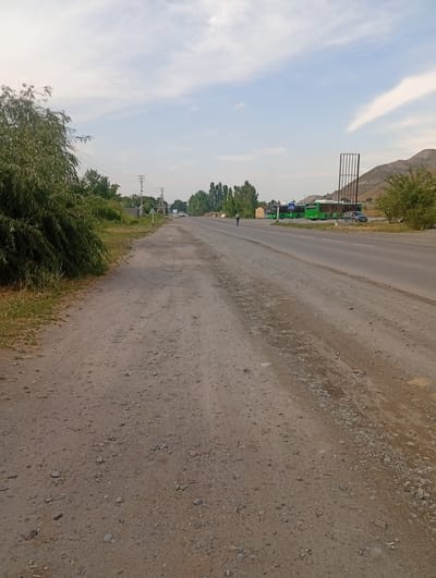 The image depicts a road scene in Tash-Moinok, Kyrgyzstan, under a partly cloudy sky. In the foreground, a dusty, gravel road runs diagonally from the bottom left towards the center right of the frame. To the left of this road is a dense, green tree with a drooping canopy, casting shadows on the ground. Beyond the tree, a power line with poles stretches into the distance.

The scene transitions to a paved asphalt road in the mid-ground. On the right side of the asphalt road, several green buses are parked, some with white lettering. Adjacent to the buses is a dark-colored car. A tall, metal structure, possibly a signpost or part of a building, stands behind the vehicles. A lone figure, appearing to be a person, walks on the left side of the asphalt road, facing away from the camera. Further in the distance, more trees line the roadside, and rolling hills with a rocky texture are visible under the sky. The overall environment suggests a rural or semi-urban area with transportation infrastructure.