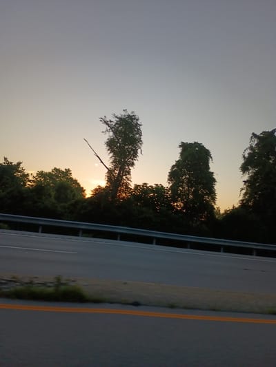 The image depicts a sunset scene with trees silhouetted against a pale orange and grey sky. A highway guardrail runs horizontally across the lower half of the frame, separating a road from the natural landscape. The road is paved and appears to be a multi-lane highway. The trees are dense and varied in shape and size, with some appearing to be deciduous and others evergreen. The sun is low on the horizon, casting a warm glow through the foliage. The overall impression is one of tranquility and natural beauty. The exact location is not specified in the image, but given the context of being a sunset view from a highway, it could be any rural or semi-rural area.
