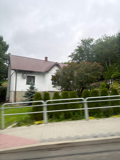 In Wilkowisko, Poland, a two-story white house with a brown metal roof stands next to a verdant hillside. A chimney rises from the roof, and a satellite dish is mounted on the exterior wall. A small evergreen tree is planted in front of the house, near a window adorned with flowers. A row of green shrubs lines the property, separated from a paved walkway and road by a white metal railing. The sky overhead is overcast and grey.