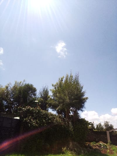 The image captures an outdoor environment in Nachu ward, Kenya, under a bright blue sky with sparse white cumulus clouds. The sun is positioned in the upper left quadrant, producing distinct lens flare and radial light rays. The lower portion of the frame is densely vegetated, featuring various trees with green foliage, including some with slender, spiky leaves, and a large bush with reddish-green leaves in the mid-ground. On the left side, a dark, solid structure, possibly a metal fence or gate, is partially visible behind the foliage. On the right, a stone wall, partially covered by vegetation, extends into the background, terminating near a lighter-colored gate post or frame. The immediate foreground consists of green grass transitioning to areas of dry vegetation and exposed soil near the base of the wall. No individuals, specific actions, or interactions are present.