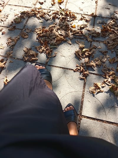 A close-up, overhead shot shows a person's legs and feet wearing black slip-on shoes, standing on a sun-dappled stone pathway covered in dry, fallen leaves. The leaves are brown and scattered across the pavement, with some areas showing more concentration than others. Shadows from unseen trees or structures fall across the scene, creating a pattern of light and dark. The pathway is made of square stone tiles, with visible grout lines. The image appears to be taken in Trebinje, Bosnia and Herzegovina, during autumn.