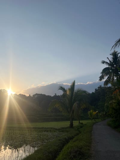 The image depicts a scenic view of rice paddies and lush vegetation under a clear sky with scattered clouds, illuminated by the golden light of a setting sun. A narrow, unpaved road runs along the right side of the frame, bordered by grassy areas and several palm trees. In the distance, tiered rice terraces are visible, suggesting an agricultural landscape. The setting sun casts long rays of light, creating a warm and tranquil atmosphere. The scene is devoid of any people or animals. The location is identified as Tetebatu, Indonesia, a region known for its natural beauty and agricultural heritage.