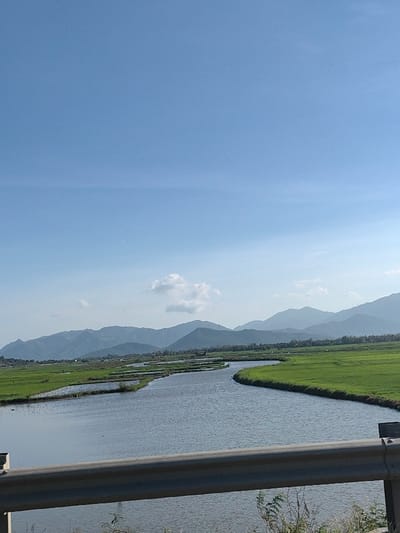 The image displays a landscape located in Ninh Hòa, Vietnam. A light grey metal guardrail, positioned in the immediate foreground, horizontally bisects the lower portion of the frame. Beyond the guardrail, a winding body of water, consistent with a river or large canal, flows from the center-left towards the right, then curves back towards the viewer. This water body is flanked by extensive, level agricultural fields, appearing vibrant green and partially submerged, indicative of rice paddies. In the mid-ground, the fields are segmented by visible embankments or smaller water channels. The distant background features a continuous range of blue-grey mountains, appearing hazy against the horizon. The sky is clear and bright blue, occupied by several scattered white cumulus clouds, one more prominent in the center-left. No individuals, specific actions, or overt structures other than the guardrail are discernible.