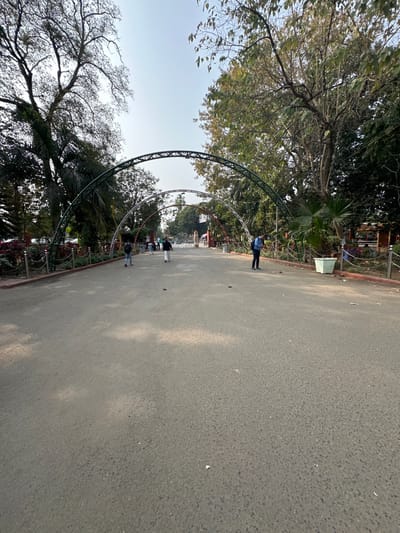 The image depicts a paved pathway extending into the distance within a park or public garden in Vadodara, India. The scene is illuminated by natural daylight under a clear, pale blue sky.
The foreground consists of a wide, dark grey asphalt pathway, which occupies the lower two-thirds of the frame. The pathway is mostly clear, with minimal scattered debris. Faint, irregular lighter patches are visible on its surface.
Along both sides of the pathway, low metal fences with chain-link sections and red-brown bases delineate the path from planted areas. These areas are densely populated with various trees and shrubs. On the left, large deciduous trees with bare branches are prominent, interspersed with some evergreen foliage. On the right, more evergreen trees with denser canopies are visible, along with palm-like plants and a light-colored, square planter near the mid-ground.
Three prominent archways span the pathway, receding into the background. The closest archway is dark green metal, followed by two lighter-colored metal archways.
Five individuals are present on the pathway. One person in dark attire, carrying a backpack, walks away from the camera on the left side, past the first archway. Another person in light-colored clothing walks centrally on the path, near the second archway. On the right, a person in a blue shirt and dark pants stands, looking downwards, between the first and second archways. Two additional individuals are distantly visible near the background, moving towards the main park entrance.
The background reveals an ornate, possibly golden-colored gate structure, marking a further entrance point into the park, framed by more trees and foliage.