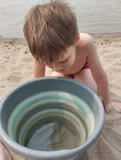 A young Caucasian boy with light brown hair is kneeling on a sandy beach, looking down into a grey bucket filled with water. The bucket contains several small, light-colored fish. The boy is wearing red and black striped swim trunks. The background shows a calm body of water and the sandy shore. The scene appears to be outdoors, possibly in Bibikha, Russia, given the information provided about the location.