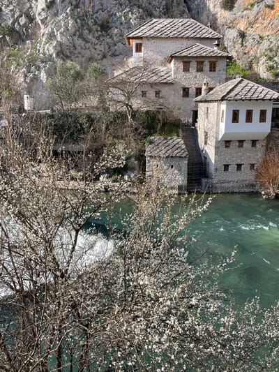 The image depicts a complex of traditional stone buildings nestled at the base of a towering, craggy limestone cliff, adjacent to a vibrant turquoise river, in Dračevice, Bosnia and Herzegovina. Multiple structures, primarily constructed from light-colored stone, feature multi-tiered roofs composed of grey, layered stone tiles and numerous small, rectangular windows with dark wooden frames. Some upper sections of the buildings are whitewashed. A prominent structure on the right extends over the river, its lower portion stone and upper portion white with windows. Stone pathways and steps connect the various building levels, descending towards the water, where a smaller stone building and a metal gate are visible at the river's edge. The fast-flowing river exhibits strong currents and a visible cascade or rapid on the left. The foreground is heavily populated by deciduous trees in full white blossom, indicative of springtime, with bare-branched trees and sparse green vegetation also present on the rugged hillside. No individuals are present in the scene. The environment is illuminated by natural daylight, casting shadows on the structures and cliff face.