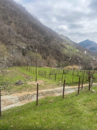 This is an outdoor shot of a rural landscape in Erma Reka, Bulgaria. The scene shows a gravel pathway running alongside a wire fence, defined by metal posts. On one side of the path is a grassy field dotted with a few yellow flowers and a pile of gathered branches. The opposite side of the path shows a hillside covered in a dense forest, primarily of bare trees. In the background, there is a taller mountain partially obscured by a cloudy sky. There are no people visible in the shot.