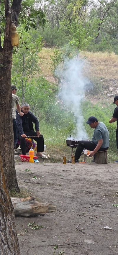 A group of men are gathered outdoors for a barbecue in a wooded area, likely in or near the city of Кашка-Суу, Kyrgyzstan. The environment is characterized by trees, dry grass, and dirt ground. A barbecue grill is actively smoking, indicating the cooking process is underway.
There are at least four men present. One man, wearing a dark jacket and pants, is seated and holding a skewer of meat over the grill. Another man, in a green t-shirt and dark pants, is seated on a tree stump near the grill, holding a bottle. Two other men are standing in the background. One, wearing a light-colored t-shirt and a cap, stands behind the seated man with the skewer. Another man, wearing a dark shirt and a cap, is partially visible on the far right of the image.
Visible objects include the barbecue grill, skewers of meat, two bottles of beer on the ground near the grill, and a red plastic container with a yellow bottle next to it. A log lies on the ground in the foreground, and a makeshift water container, possibly a plastic bottle with a hole in it, hangs from a tree on the left. The ground is covered in dirt and scattered leaves and twigs. The overall scene depicts a casual outdoor gathering focused on grilling.