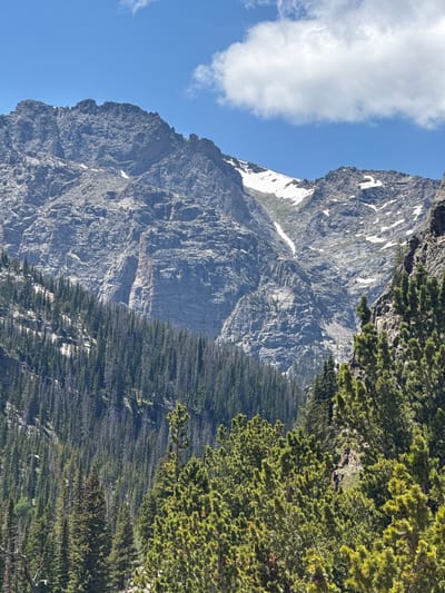 The image depicts a mountainous landscape with a clear blue sky dotted with white clouds. The foreground is dominated by a dense forest of tall, green coniferous trees. In the midground, the forest continues to climb the slopes of a rugged, rocky mountain range. Patches of snow are visible on the higher elevations of the mountains. The mountains themselves are imposing, with steep, textured rock faces. There are no people or man-made structures visible in the image. The scene is natural and appears to be a wilderness area. This landscape is likely within or near Estes Park, Colorado, United States, given its characteristic mountain scenery and dense evergreen forests.