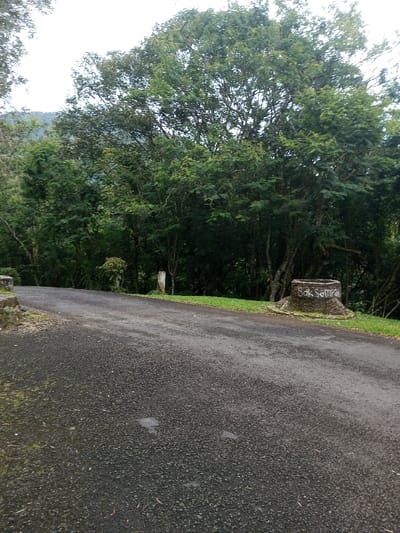 A paved road winds through a lush, green landscape. Towering trees with dense foliage dominate the background, creating a sense of depth. A tree stump, painted with the words "Bak Sampah," sits to the side of the road. Other concrete structure also sits on the side of the road along the trees. The road surface appears damp, adding a reflective quality to the scene. The overall atmosphere is tranquil and serene, indicative of a rural or park setting.