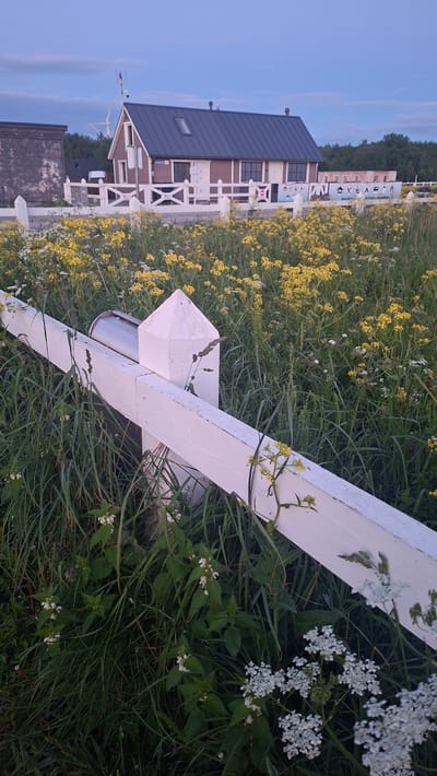 A white wooden fence runs diagonally across the foreground of the image, bordering a field of green grass and yellow wildflowers. In the middle ground, a two-story building with a brown exterior and a dark gray roof sits behind the fence. The building has several windows and a skylight on the roof. A white fence with vertical posts encloses the building. In the background, a dense line of trees forms the horizon, and a pale blue sky with wispy clouds stretches above. The overall scene suggests a rural or semi-rural setting in Paldiski, Estonia.